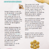 Das Good News Magazin für Kinder zwischen 8-12 Jahren - Image 7