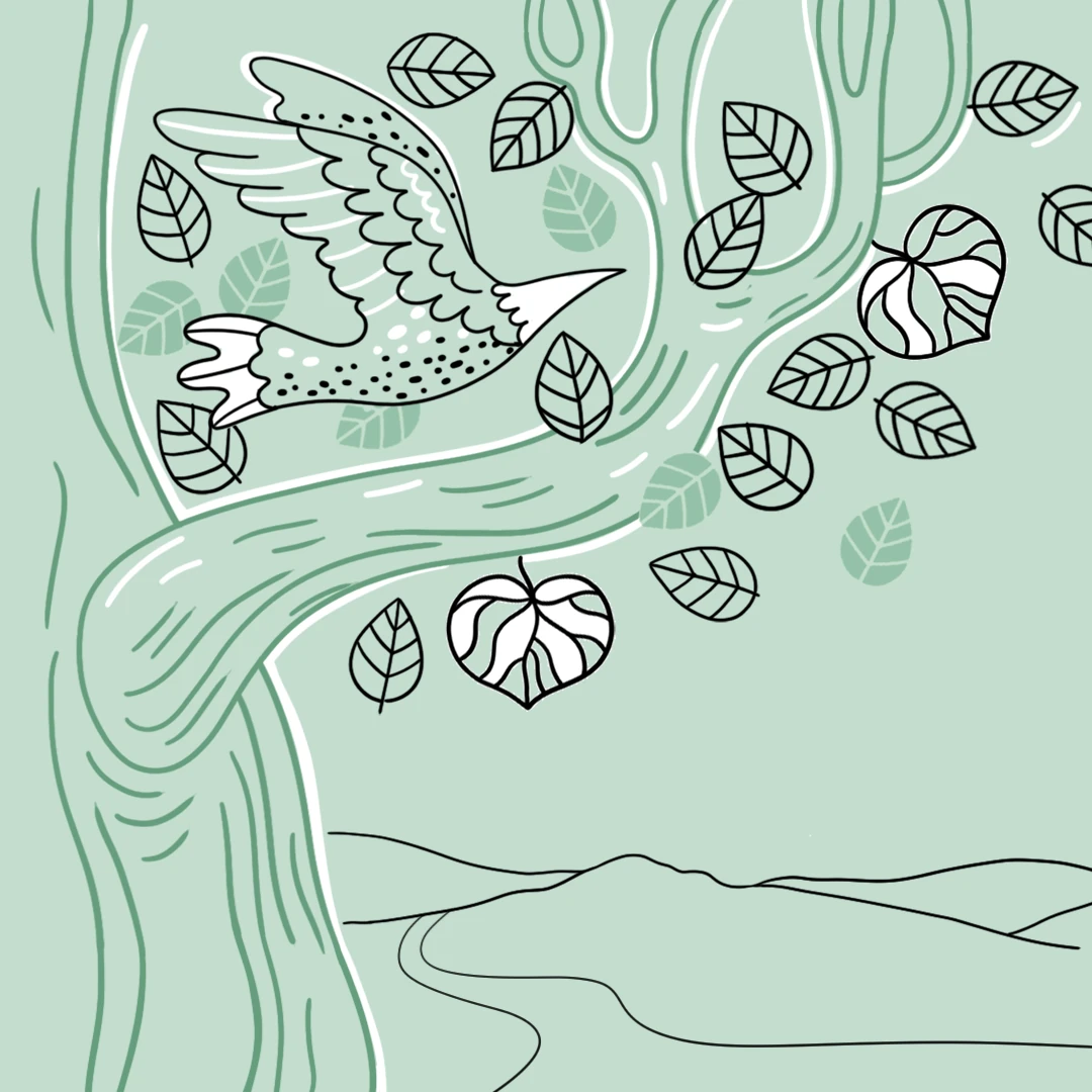 Achtsamkeit in der Schule